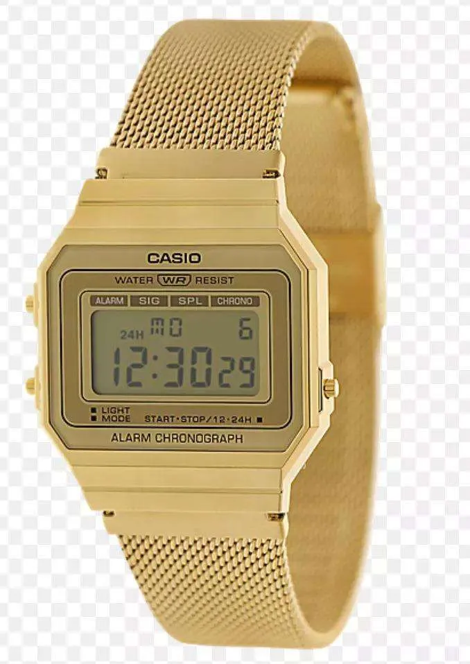 Casio A700WMG-9A Gold Stainless Mesh for Men and Women