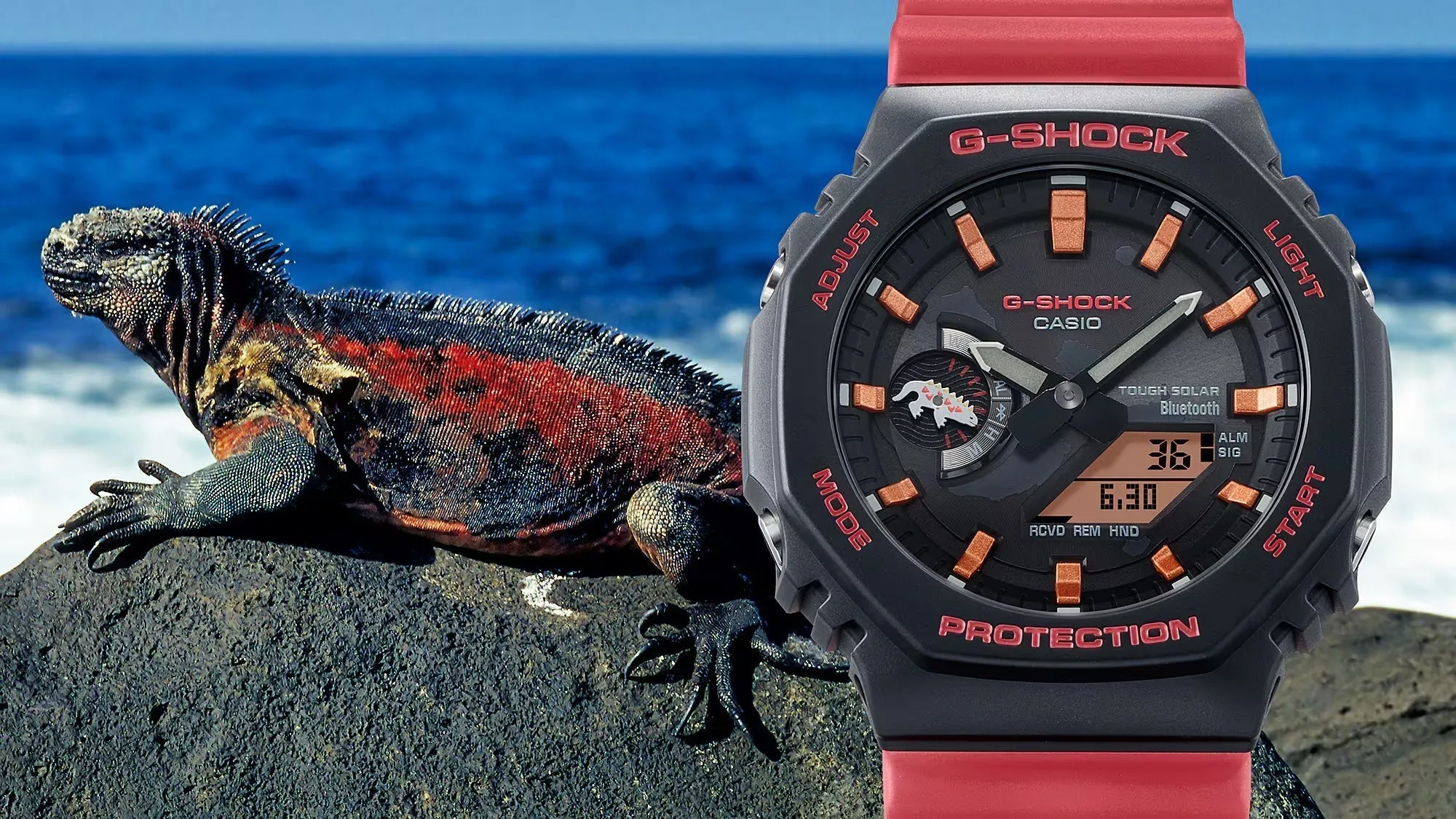 Casio G-SHOCK x GALAPAGOS CHARLES DARWIN FNDN Ana-Digi Mens Watch GAB2100CD-1A4