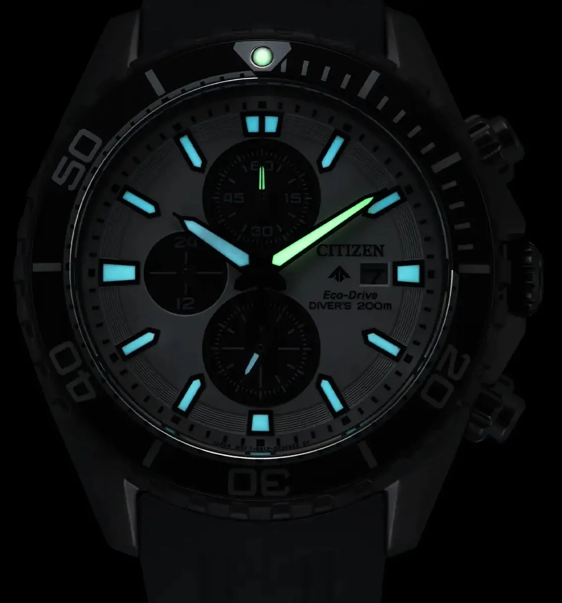 Citizen Promaster Diver Eco Drive Mens Watch