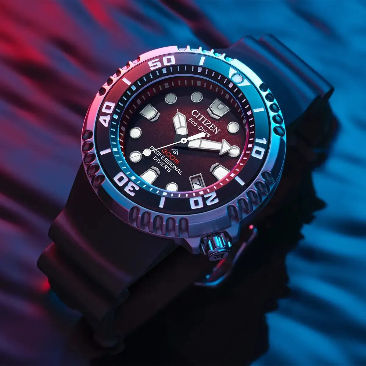 Citizen Promaster Diver Watch