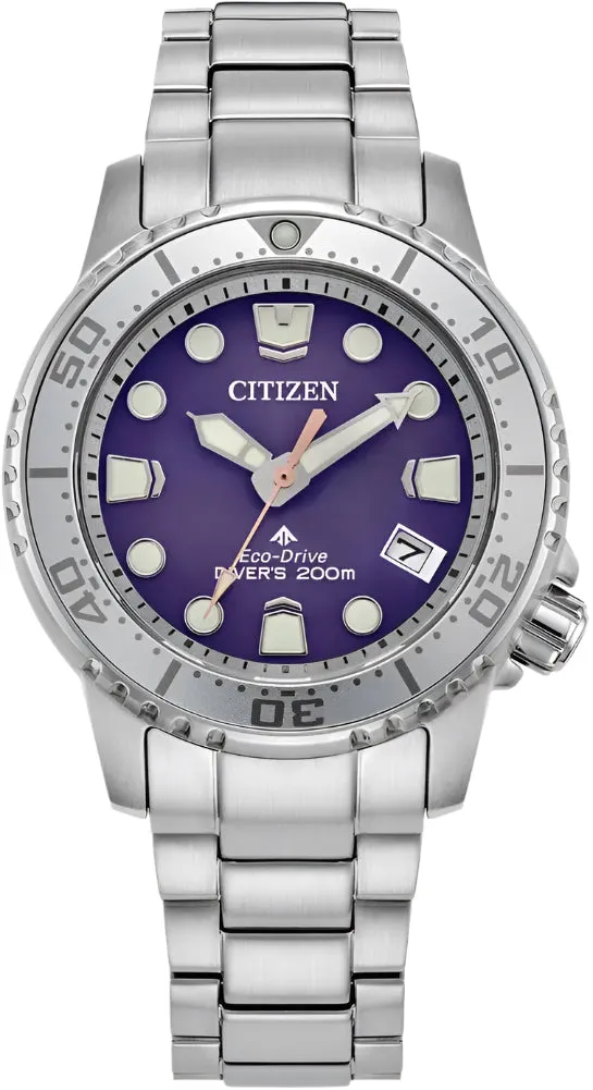 Citizen Promaster Diving Watch