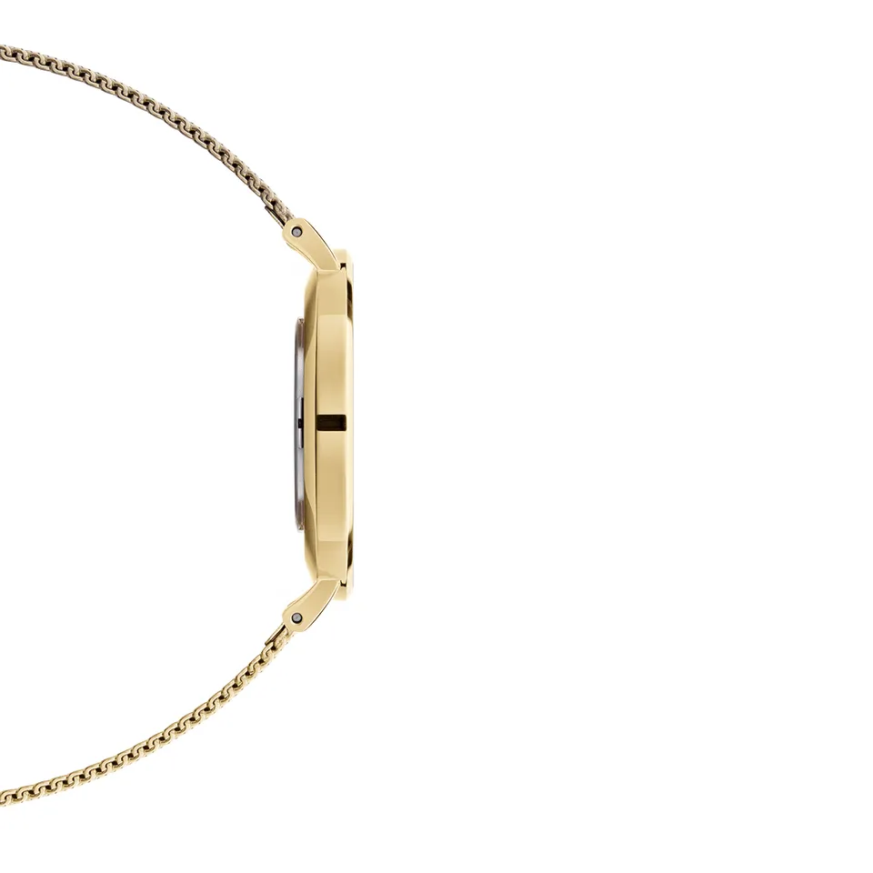 Daniel Wellington Petite 36mm Evergold DW00100346
