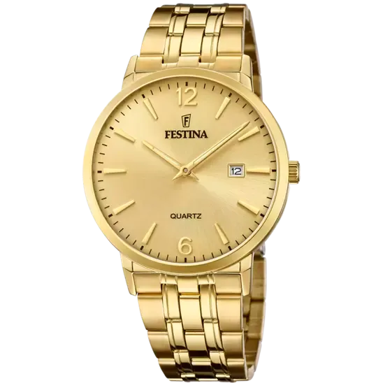 Elegant Festina Men's Watch with Gold Stainless Steel Strap and Champagne Dial F20513/3