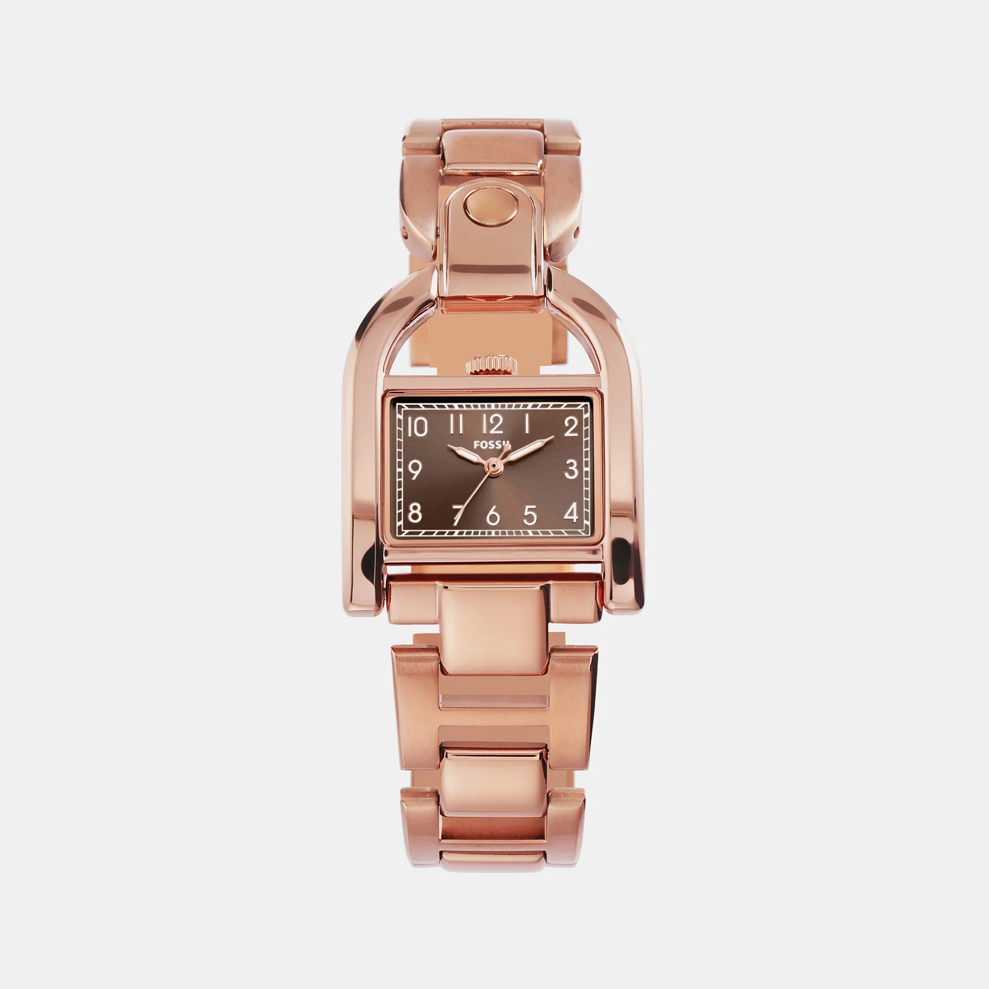 Harwell Women Quartz Brown Dial Analog Stainless Steel Watch ES5328