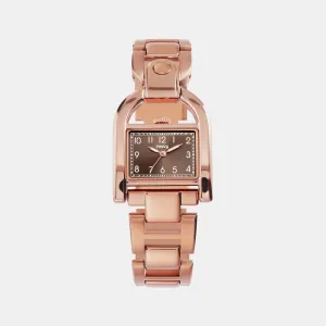 Harwell Women Quartz Brown Dial Analog Stainless Steel Watch ES5328