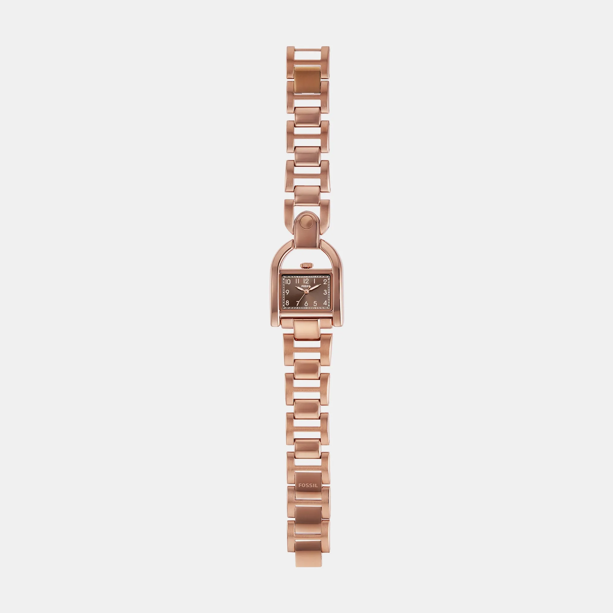 Harwell Women Quartz Brown Dial Analog Stainless Steel Watch ES5328