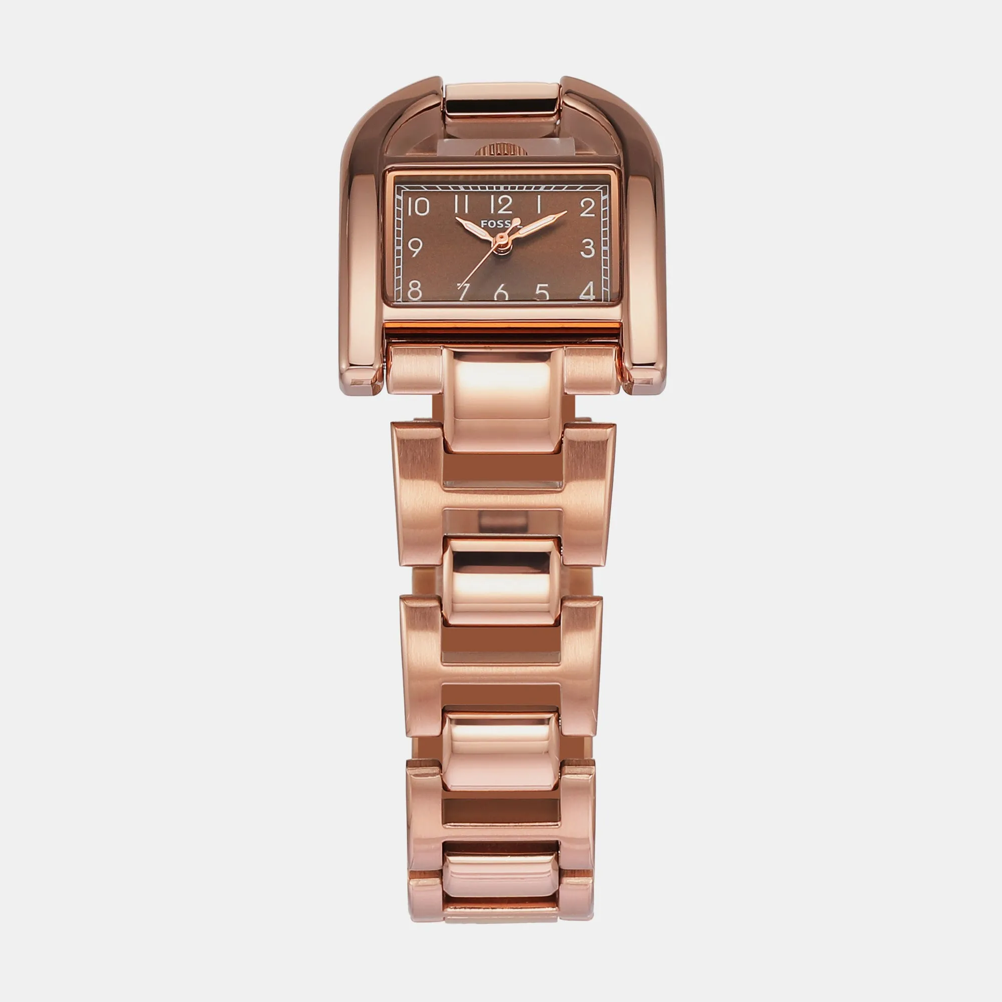 Harwell Women Quartz Brown Dial Analog Stainless Steel Watch ES5328