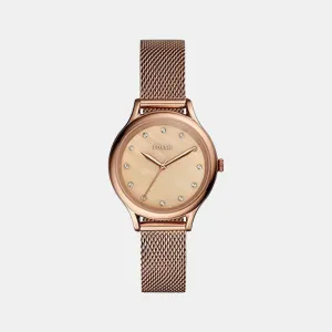 Laney Women Quartz Rose Gold Analog Stainless Steel Watch BQ3392