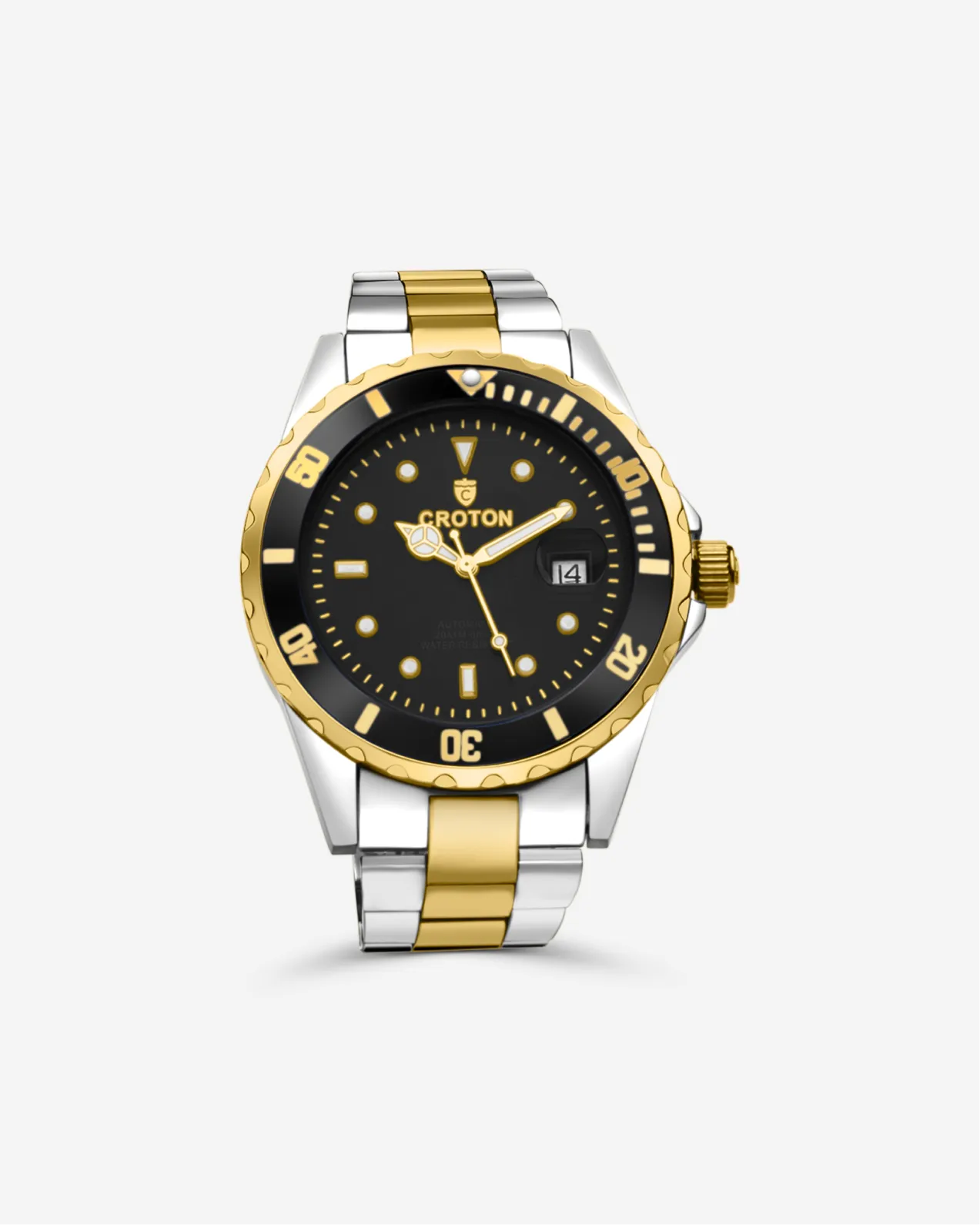 Men's All Stainless Steel Automatic with Magnified Date
