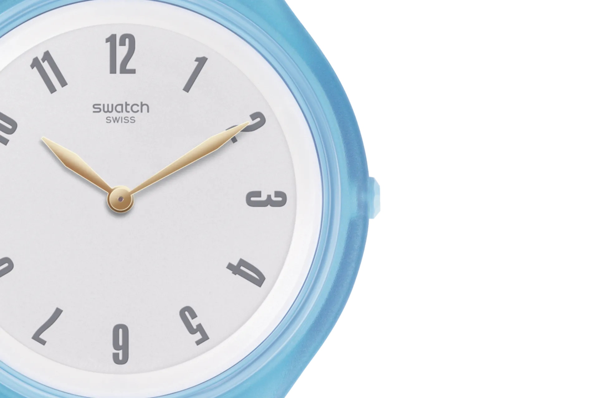 Orologio Swatch Skinstripies